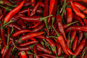 Serrurier Cayenne